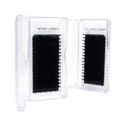 China Pbt Material Korea Eyelash Extensions Natural Soft Pbt Eyelash Extensions for sale