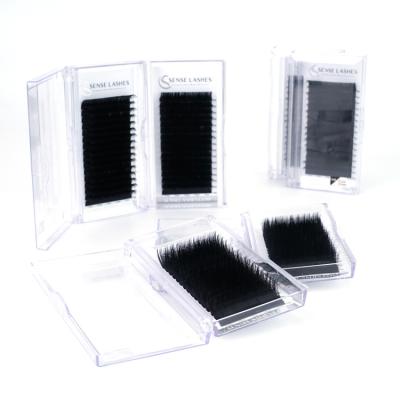 China Natural Soft Soft Black Eyelash Extensions Loose Eyelash Extension for sale