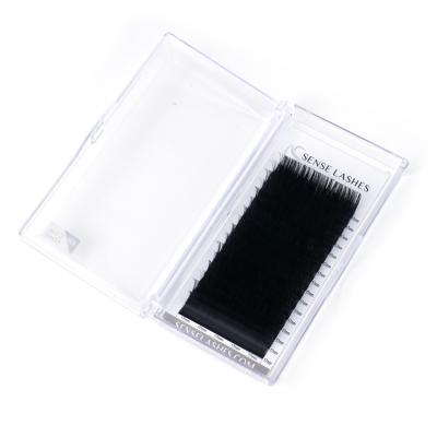 China Mink 19mm Eyelash Extensions Natural Soft Individual Eyelash Extensions Different Strips for sale