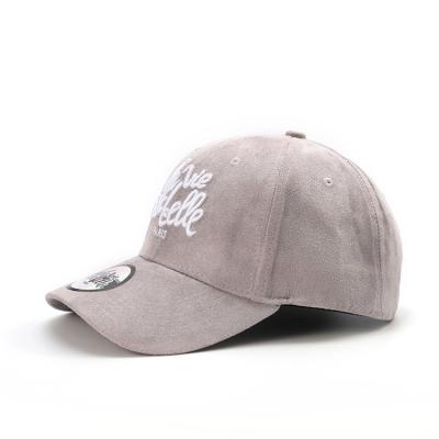 China COMMON Custom Embroidered Wholesale Logo Hat And Cap 6 Panel Suede Material Hat for sale