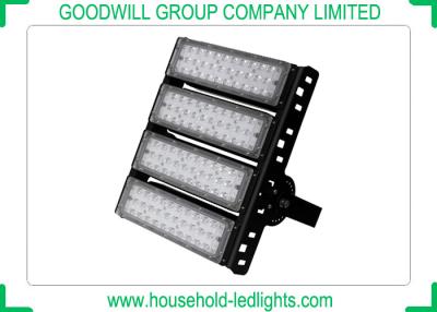 China 200W AC 220V Outside LED Flood Lights High Luminous With 6063 Aluminum Material for sale