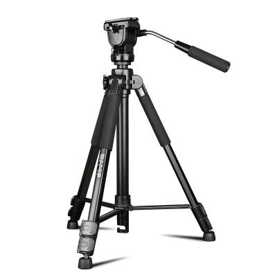 China Lightweight Aluminum Compact Tripod Head 1660mm Load 6kg Digital Camera Camcorder Panhead Pan-bar Photo Liquid Travel Tripod for sale