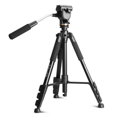 China Professional Portable Travel Aluminum Camera Q111S Tripod & Pan Head Digital Camera for SLR DSLR Digital Camera for sale