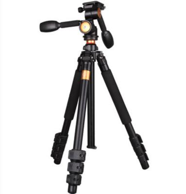 China Enter professional level BK470 QZSD aluminum camera tripod Q80 automatic dual level dimming aluminum panhead for dslr video dv for sale