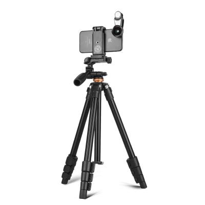 China Q160A Portable Lightweight Professional Aluminum Digital Video DSLR Camera Tripod With Panhead for sale