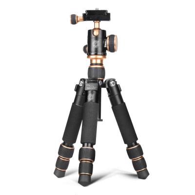 China 360 Degree Panorama Damping Ballhead QZSD-Q166 Mini Tripod With Easy Carrying Fold Only 20cm For 360 Degree Panorama Damping Ballhead for sale