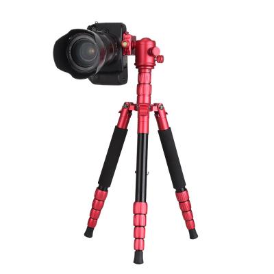 China 2018 Professional Digital Camera Heavy Load Ball Head Moving Tripod For DSLR Digital Video Camera for sale