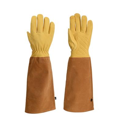 China Premium Hand Protection Top Grain Leather Protection Work Gloves For Garden for sale