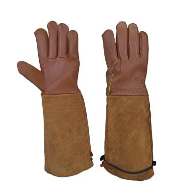 China Soft Outdoor Breathable Protective Gloves Garden Leather Beekeeper Work Gloves For Animal Capture for sale