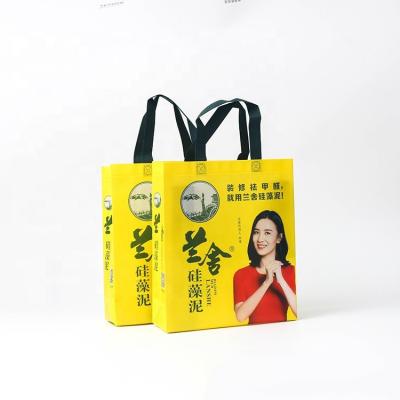 China PP Handled Non Woven Bag With Lamination Handled Custom Colored Printing Shopping Bag for sale