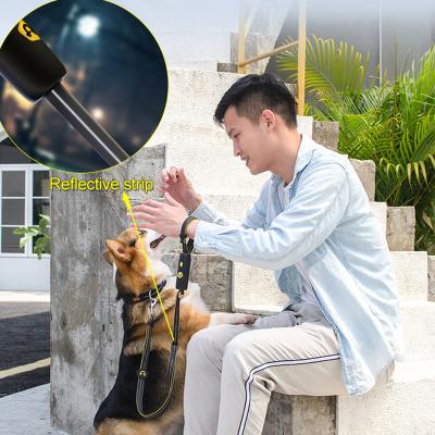 China Portable Thoughtful Adjustable Waterproof Lead Stocked Nylon Retractable Pet Dog Leash Hands Free Dog Leash for sale