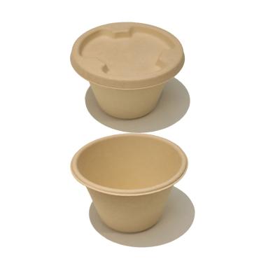 China Disposable Disposable Bowl 17 Oz Leak Proof Dishware Natural Compostable Eco-Friendly Biodegradable Soup Bowls for sale