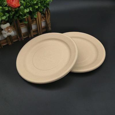 China 9 Inch Disposable Raw Materials 100% Natural Biodegradable Plate Disposable Paper Plate Dishes for sale