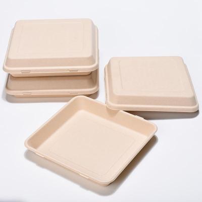 China PFAS BAMBOO chemical free 9 inch food packaging window candy fruit sushi salad box disposable paper food containers for sale