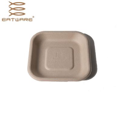 China Disposable Biodegradable Disposable Biodegradable Meat Trays Disposable Food Supermarket Square Food Tray for sale