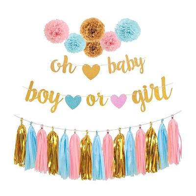 China 2019 Disposable Boy or Girl's Gender Reveal Kit Baby Shower Party Supplies Party Supplies Gender Reveal Party Decorations for sale