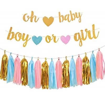 China 2019 Disposable Boy Or Girl Party Banner Supplies Decorations High Quality Kind Reveal Party Supplies for sale