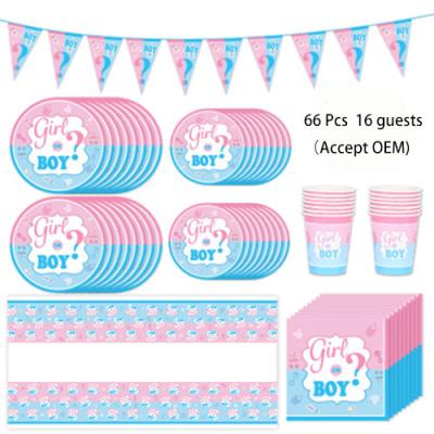 China 66 Pcs Disposable Boy Or Girl Gender Reveal Banner Flat Round Sets Confetti Kit Baby Gender Reveal Party Supplies for sale