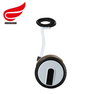 China New Promotion Unisex Stand Up Off Road 2 Wheel Golf Cart Electric Scooter for sale