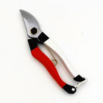 China Anti-Slip Handle Pruner Gardening Hand Shears Pruner Scissors with Spring Bonsai, Bonsai, Flowers for sale