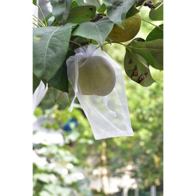 China Durable And Strong Fruit Waterproof Grow Bags 9cm*12cm Mango Grow Protective High Density Nylon Bag for sale