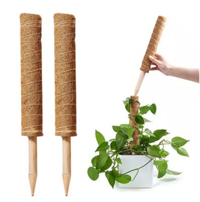 China Custom High Quality Eco-Friendly 10 Inch - 40 Inch Moss Pole Coco Totem Stick Supports Indoor Plants To Grow Up for sale