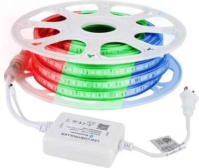 China Waterproof Hotel 220VAC IP65 RGB SMD5050 LED Strip LED Strip with Remote Control for Holiday Home Lighting Commercial Lighting for sale