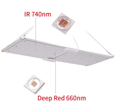 China Seed Starting Competitive Price Horticulture Grow Light LED Grow Light DIY 240W LM301B 5 Year Warranty for sale