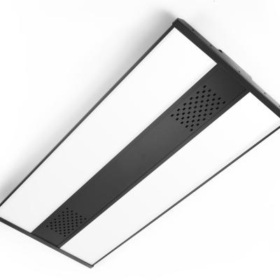 China Warehouse/Workshop/Supermarket/Gyms/Big Box Retail Shops Daylight Sensor Non-dimmable 4ft LED Black Linear High Bay Shop Light Fixture for sale