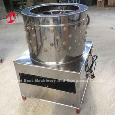 China pluma de 3500w 220v que despluma la parrilla de las aves de corral de la máquina que procesa a Emily en venta