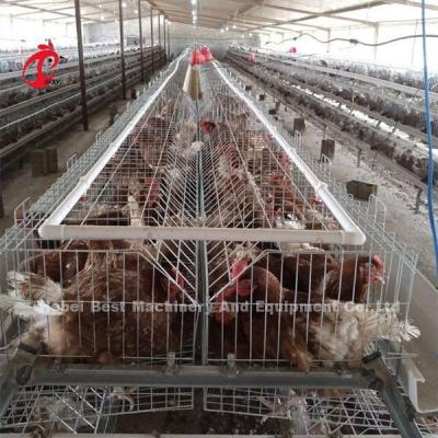 Chine Cage d'élevage Ferme avicole Couveuse Matériel d'élevage Sandy à vendre