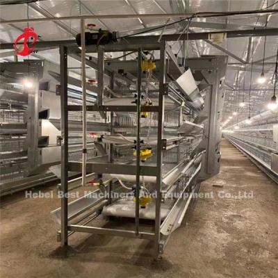 China H Type 4 Tiers Poultry Farming Broiler Cage System With Manure Belt Ada for sale