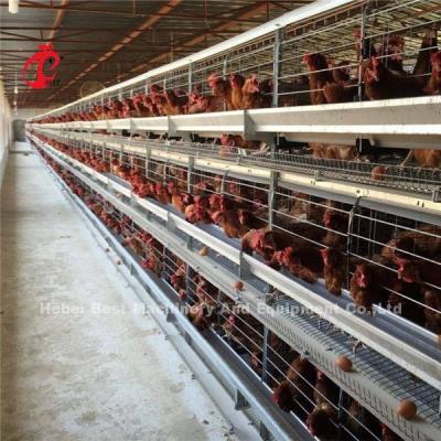 China China Nigeria Fabrik Schicht Broiler Geflügel Hühner Aufzuchtkäfig zu verkaufen Ada zu verkaufen