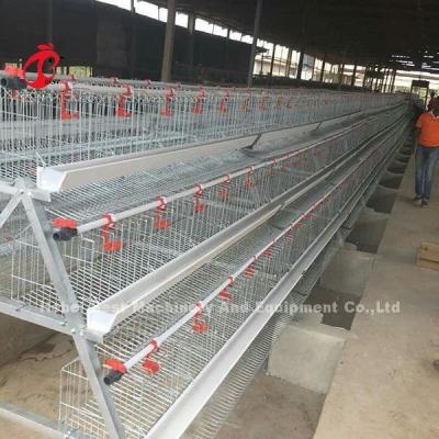 Chine Cage à couche anti-rouille pour poules pondeuses de 25 ans à vendre