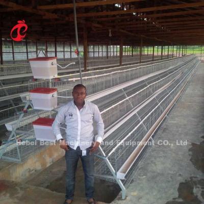 Chine Hot dip Galvanized Poultry Battery Cage System For Layer Farm Sandy à vendre