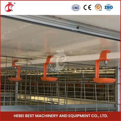 China Automatische H Art einer-Tag-alt Chick Pullet Cage High Capacity Adela des langen Lebensdauer-modernen Geflügel-Käfig- zu verkaufen