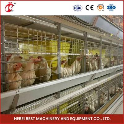 Chine Type automatique équipement de ferme avicole d'oiseaux de la cage 84 de poulet à rôtir de viande Mia de H à vendre