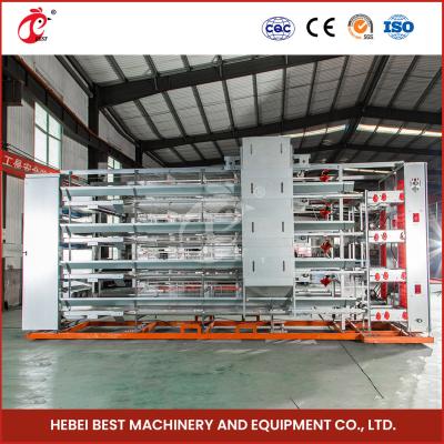 China Turnkey Project H Type Automatic Chicken Cage Equipment For Layers Broilers Chicks Star for sale