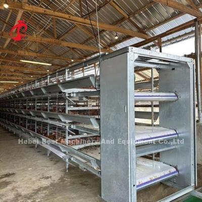 China Automatic Layer 160 Birds Chicken Battery Cage For Poultry Farm Emily for sale