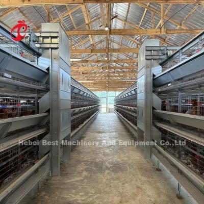 中国 110kg Capacity Poultry Layer Cage with Automatic Nipple Drinkers for Poultry Houses Doris 販売のため