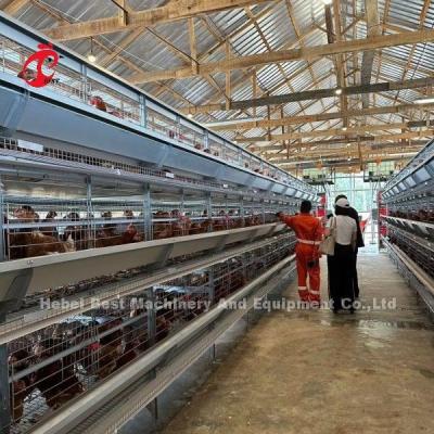 China Imported Galvanized Cage System Of Poultry Rearing For Layer H Type Doris for sale