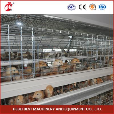 China Silver Hot Galvanized Broiler Chicken Cage For Raising Chickens Adela for sale