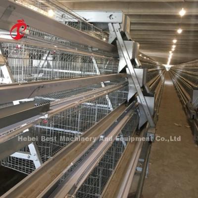 China 3/4/5 Tiers Battery Cage System for Automated Layer Chicken Poultry Farm Iris for sale