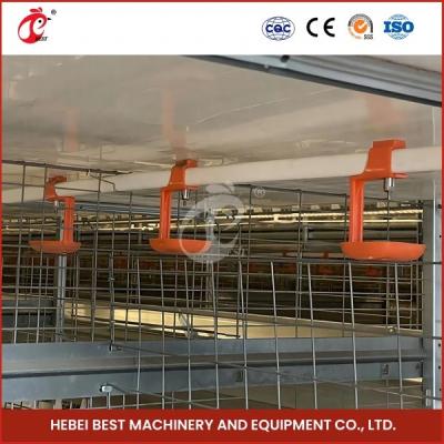 Cina Allevamento automatico Broiler automatico Chicken Cage Rose in vendita