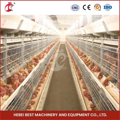 Chine Cage de transport de poulets de chair galvanisée à chaud Couleur argentée Durable fiable Mia à vendre