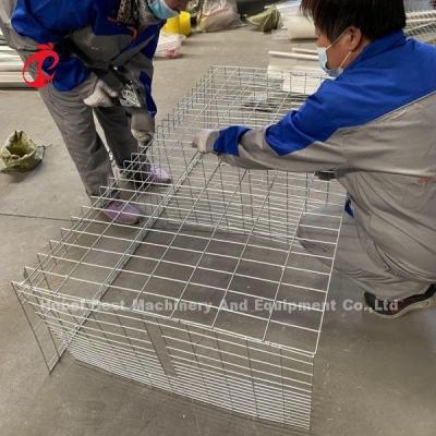 Chine Cage de poulet de poulet de type A ou H pour la ferme avicole Doris à vendre