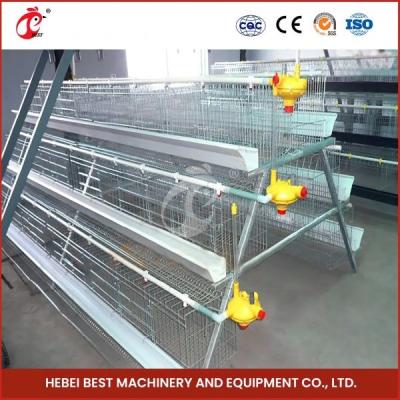 Chine Cage de reproduction de poulets d'élevage de type H Système d'alimentation automatique complet Rose à vendre