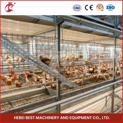 China Automated A Type Broiler Chicken Cage Commercial Farmining Chicken Cages for Poultry Farm Emily Wang for sale