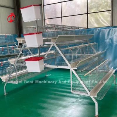 China 2.8mm-3.5mm Cage Wire Diameter Poultry Cage System Save Labor Increase Profits Iris for sale