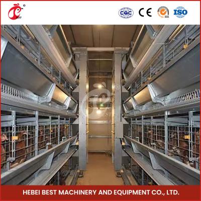 China Easy to Install Automatic Poultry Layer Battery Cage System with Nipple Drinker Iris for sale